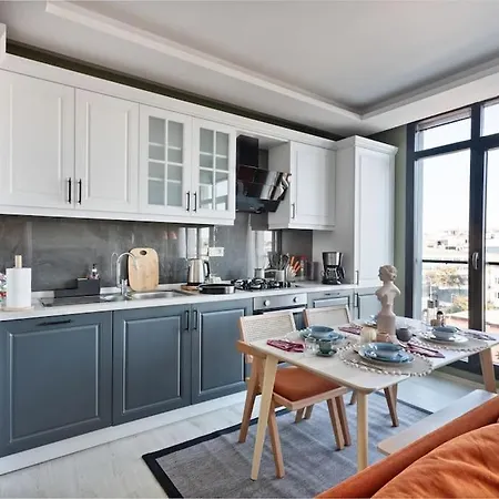 Scandinavian Style Artful In Istanbul